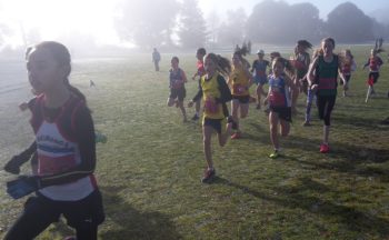 North Island Cross Country Report