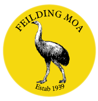 Feilding Moa